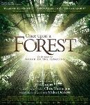 Once upon a forest - Blu-ray, Cd's en Dvd's, Blu-ray, Verzenden