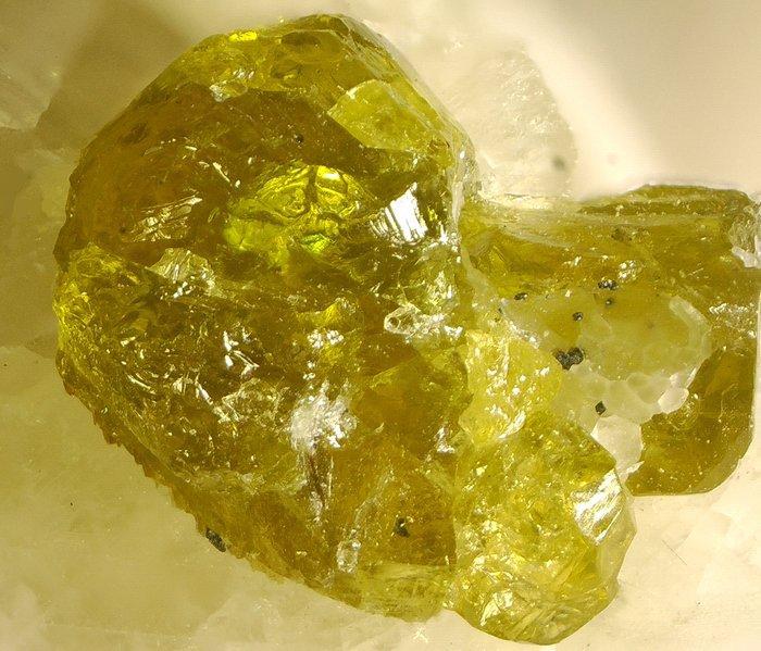 Mineralencollectie - Hoogte: 19 cm - Breedte: 12 cm- 572 g -, Verzamelen, Mineralen en Fossielen