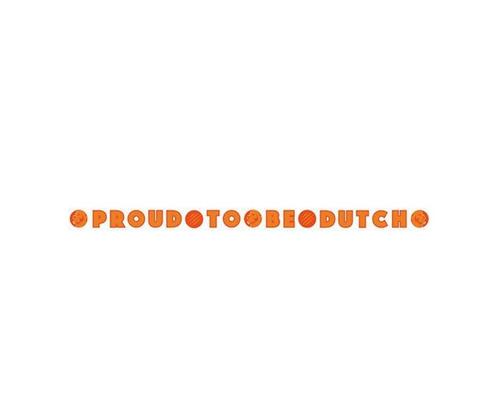 Nederland Letterslinger Wk En Ek Dutch, Hobby en Vrije tijd, Feestartikelen, Nieuw, Verzenden