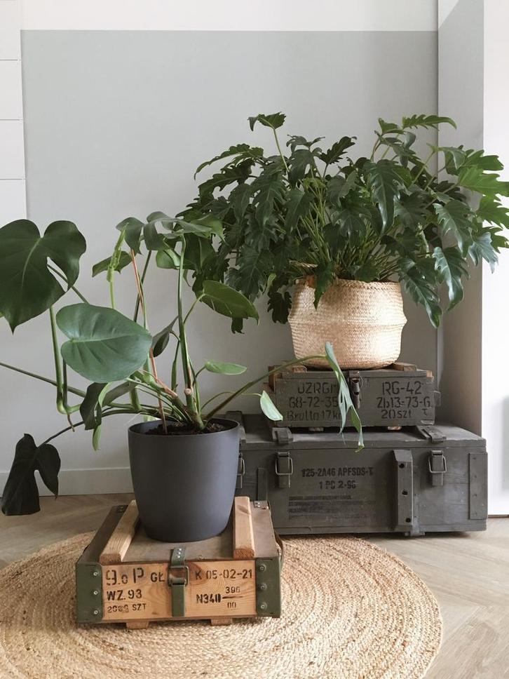 Legerkisten - MUNITIEKISTEN .   Uitgebreid Assortiment!, Huis en Inrichting, Woonaccessoires | Kisten, 50 tot 100 cm, Gebruikt