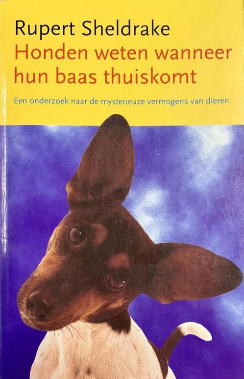 Honden weten wanneer hun baas thuiskomt 9789021594057, Boeken, Hobby en Vrije tijd, Gelezen, Verzenden