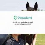Marinde zoekt een oppas in Arnhem voor 2 kinderen.