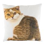 *canvas kussen tabby wit 50x50cm*, Verzenden, Nieuw