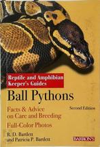 Ball Pythons, Verzenden, Nieuw