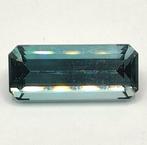 1 pcs Blauw, Groen Toermalijn - 5.99 ct - nternational, Sieraden, Tassen en Uiterlijk, Edelstenen, Nieuw