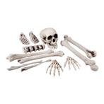 Set Doodshoofd Met Beenderen (12st), Ophalen of Verzenden, Nieuw