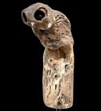 Eleanor Gabriel - CHEVÊCHE