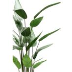 Emerald Kunstplant heliconia plant groen 125 cm 419837, Nieuw, Verzenden