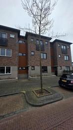 Te huur: Huis Pieter Breughelstraat in Bergen op Zoom, Bergen op Zoom, Noord-Brabant