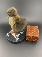 Eend Taxidermie volledige montage - Anas Platyrhynchos - 130