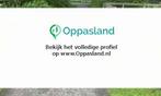 Marjon zoekt een oppas in Dussen voor 1 kind voor 4 dagen..., Boeken, Nieuw