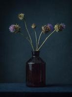 Tessa Posthuma de Boer - Artichoke#2