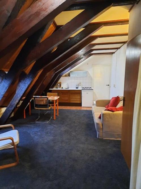 Appartement te huur in Oss - 28 m² - 2 kamer(s) - 2 kamers, Huizen en Kamers, Huizen te huur, Noord-Brabant, Appartement
