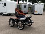 Tweespan / Vierspan / Marathonwagen / Pony / 21/19Inch, Gebruikt, Marathonwagen, Pony