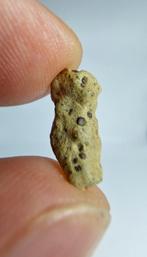 Mars meteoriet, Tarkint 001. (Olivine-phyric shergottiet). -