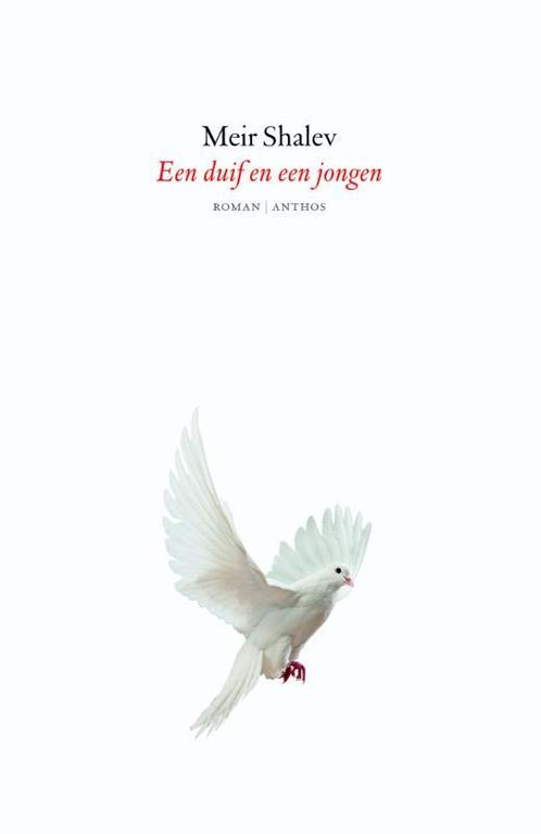 Een duif en een jongen 9789041422927 Meir Shalev, Boeken, Romans, Zo goed als nieuw, Verzenden