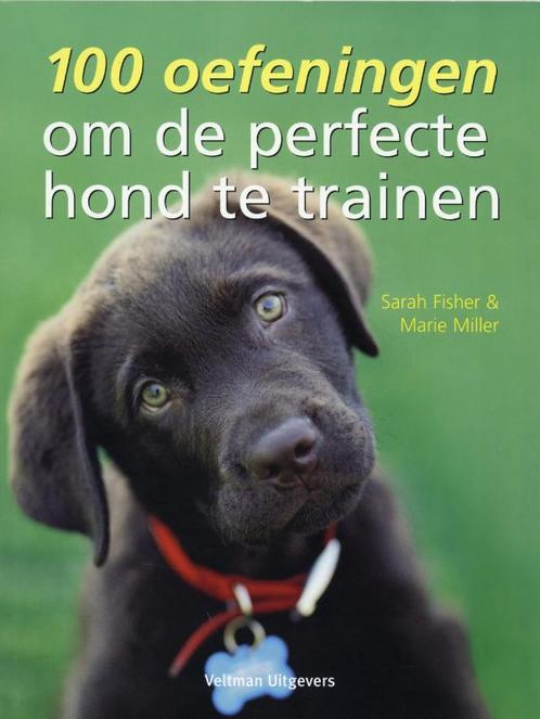100 Oefeningen Om De Perfecte Hond Te Trainen 9789048300907, Boeken, Dieren en Huisdieren, Gelezen, Verzenden