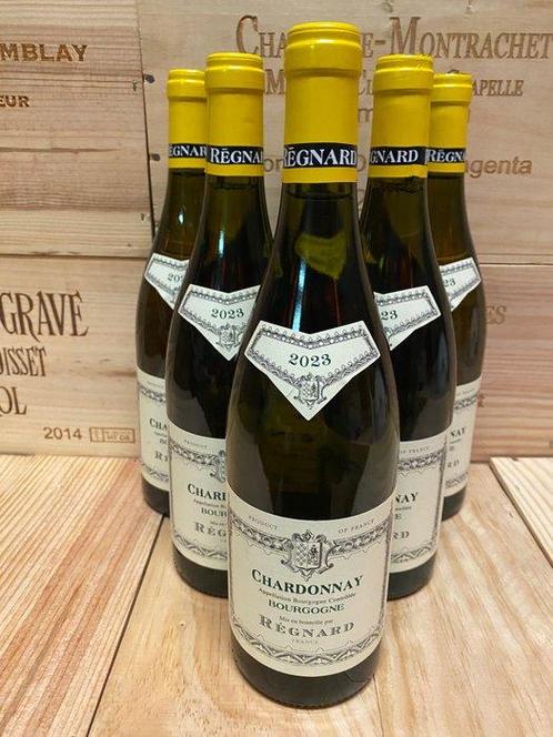 2023 Régnard Bourgogne Chardonnay - Bourgogne - 6 Flessen, Verzamelen, Wijnen