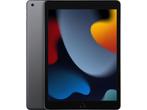 Apple iPad (2021) Wi-Fi + Cellular 256GB Grijs, Verzenden, Zo goed als nieuw