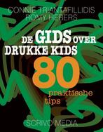De gids over drukke kids / Kanguru 9789491687648 Romy Hebers, Boeken, Zwangerschap en Opvoeding, Verzenden, Gelezen, Romy Hebers