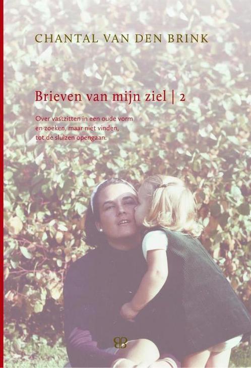 Brieven van mijn ziel 2 - Chantal van den Brink - 9789081817, Boeken, Esoterie en Spiritualiteit, Verzenden