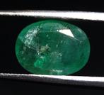 Karaat 2,75 Emerald Faceted - Hoogte: 11 mm - Breedte: 8 mm-