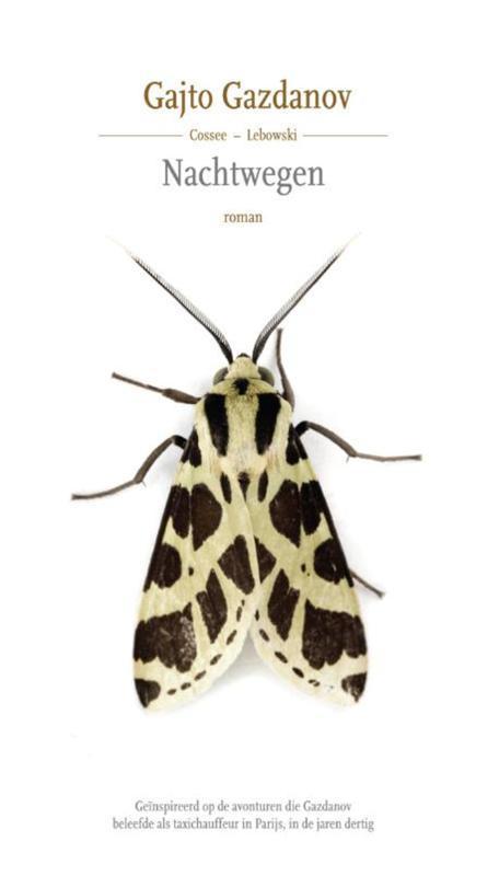 Nachtwegen 9789048819195 Gajto Gazdanov, Boeken, Romans, Gelezen, Verzenden