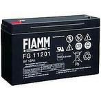 Fiamm FG series accu 6V 12Ah  VDS 151x50x94x100, Nieuw, Verzenden