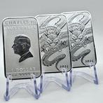 Australië. 1 Dollar 2025 Dragon Rectangular Lot of 3x 1 oz