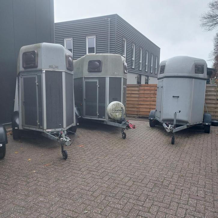 Opknapper of export  trailers te koop, Dieren en Toebehoren, Paarden en Pony's | Trailers en Aanhangwagens, 2-paards trailer, Gebruikt