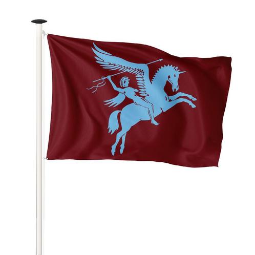 NR 531: Airborne vlag 150x225cm (voor masten 6 of 7 meter, Diversen, Vlaggen en Wimpels, Nieuw