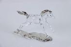 Figuur - Swarovski - Veulen 2014 (Boxed + Certificate) -