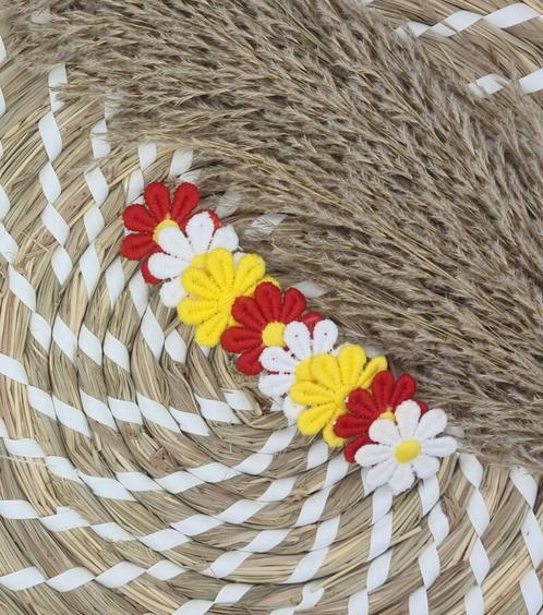 Oeteldonkse French Barrette met madeliefjes - carnaval, Kleding | Dames, Carnavalskleding en Feestkleding, Nieuw, Ophalen of Verzenden