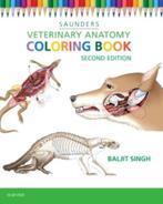 9781455776849 Veterinary Anatomy Coloring Book, Nieuw, Saunders Saunders, Verzenden
