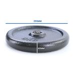 Halterschijven Gietijzer 20kg Set | 27mm | OP=OP, Sport en Fitness, Fitnessapparatuur, Ophalen of Verzenden, Nieuw, Overige typen