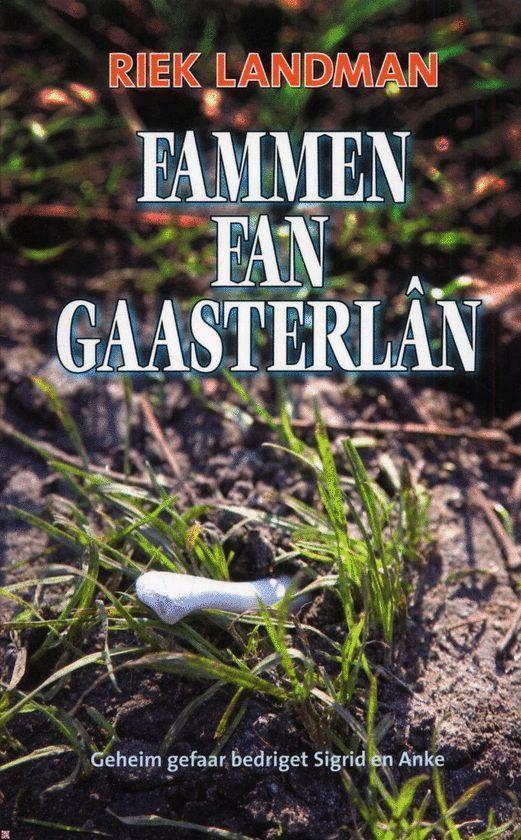 De fammen fan Gaasterlân 9789033006777 R. Landman, Boeken, Reisgidsen, Zo goed als nieuw, Verzenden