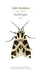 Nachtwegen 9789048819195 Gajto Gazdanov, Verzenden, Zo goed als nieuw, Gajto Gazdanov