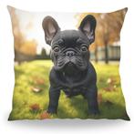 Kussen - Huisdier Portret - Franse Bulldog 1 - 30 cm, Huis en Inrichting, Woonaccessoires | Kussens, Verzenden, Nieuw