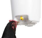 Drinkemmer kippen - Kip - Andere dieren, Dieren en Toebehoren, Vogels | Toebehoren, Nieuw, Verzenden