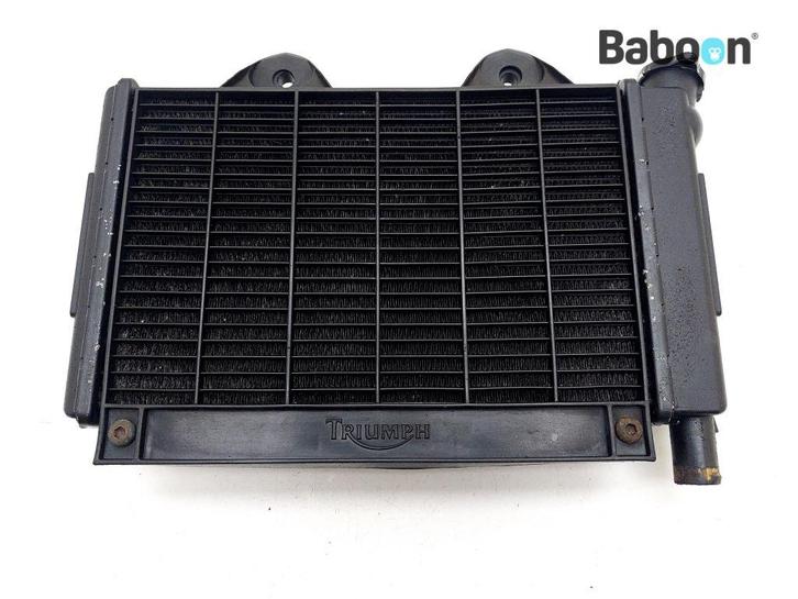 Radiateur Triumph Trophy 1200 1996-2003 (2100129), Motoren, Onderdelen | Overige, Gebruikt, Verzenden