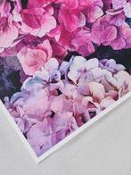 Viet Ha Tran - Hortensia I, Antiek en Kunst