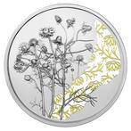Oostenrijk 10 Euro Kamille 2023 Proof, Verzenden