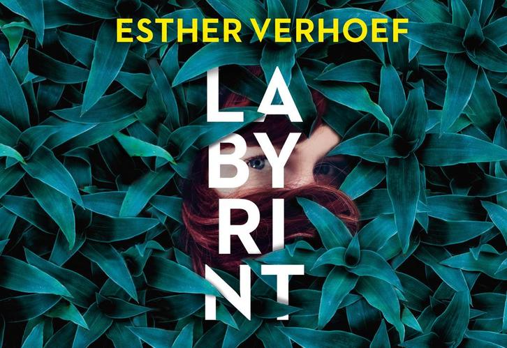Labyrint / Dwarsligger / 650 9789049807801 Esther Verhoef, Boeken, Thrillers, Gelezen, Verzenden