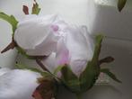 Roosjes 5-6cm. zijde best quality wit-purple 2tone 10 st, Ophalen of Verzenden, Nieuw
