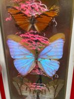 (Zeldzaam) Papillon support met lichtgevend effect, Antiek en Kunst, Curiosa en Brocante