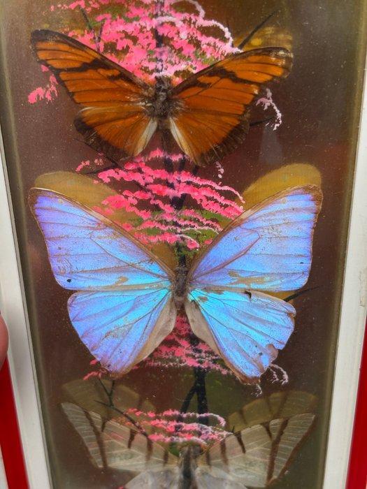 (Zeldzaam) Papillon support met lichtgevend effect, Antiek en Kunst, Curiosa en Brocante
