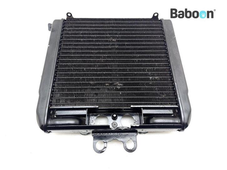 Radiateur Harley-Davidson VRSCDX Night Rod Special 2007-2017, Motoren, Onderdelen | Harley-Davidson, Gebruikt, Verzenden