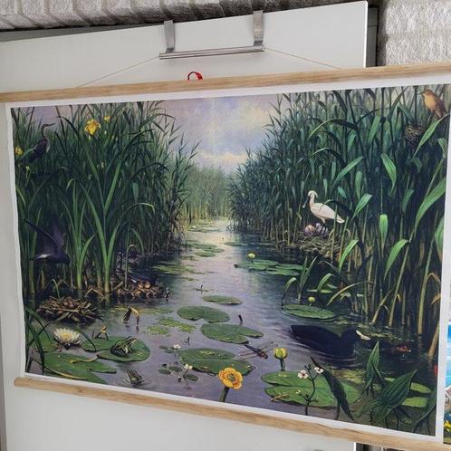 Noordhoff Uitgevers BV Groningen/Houten - Vogels in, Antiek en Kunst, Curiosa en Brocante