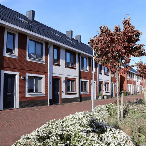 Huis met Tuin in Schiedam gevonden in Schiedam, Huizen en Kamers, Huizen te huur, Direct bij eigenaar, Overige soorten