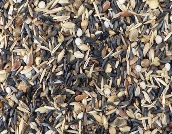 Jan Koenings Kapoetsensijzen zaadmengeling - Kapoetsensijzen, Dieren en Toebehoren, Vogels | Toebehoren, Nieuw, Verzenden